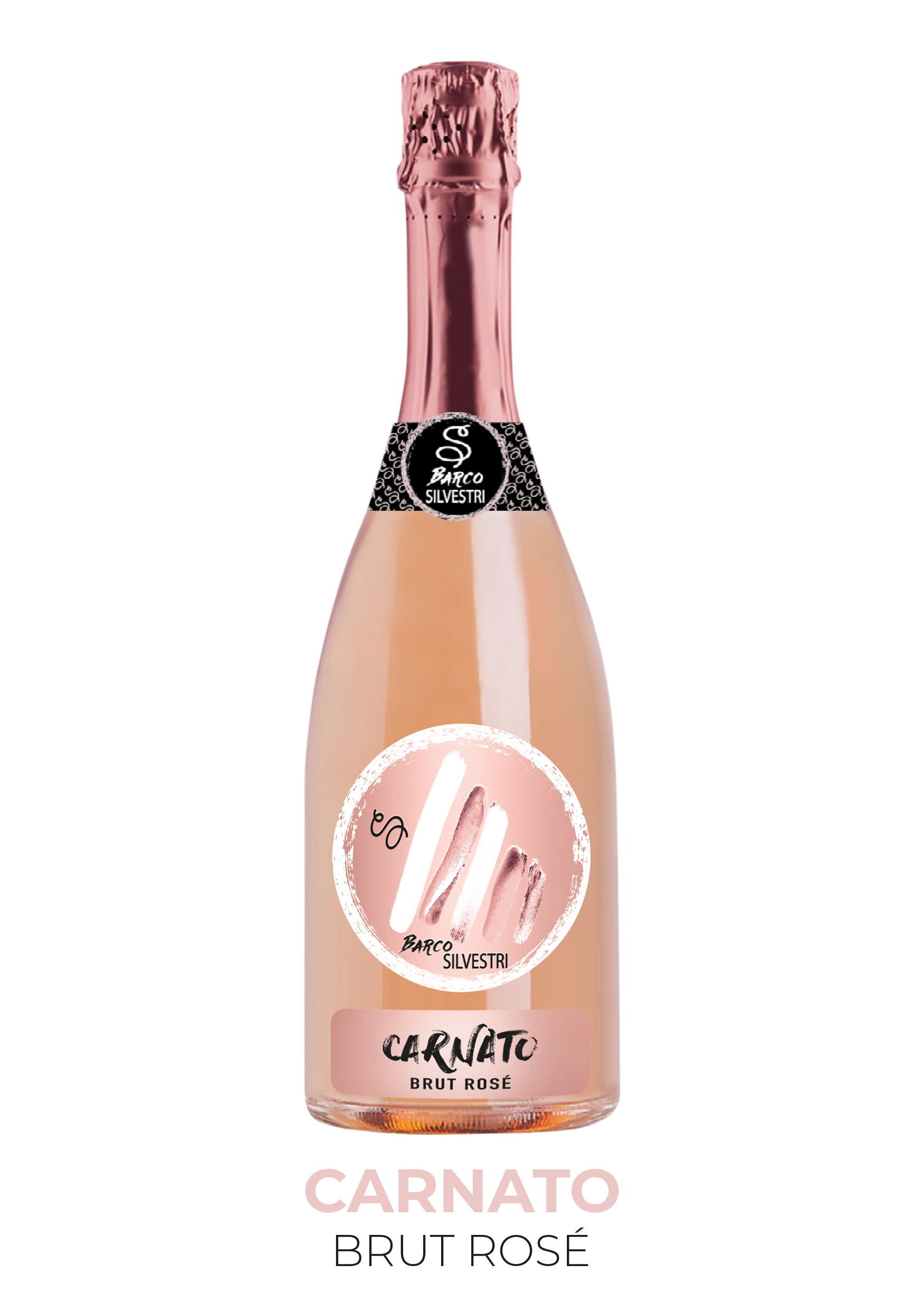 Carnato_rose